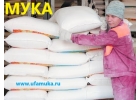 Мука
