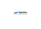 SEO-консалтинг Spardus