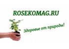Курс лечения бишофитом
