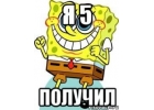 Аккуратно, быстро, качественно выполним дипломные, курсовые, контрольные работы