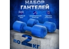 Набор гантелей для фитнеса 2 шт 2 кг